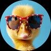 duckfarmdeals